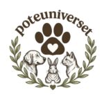 Poteuniverset