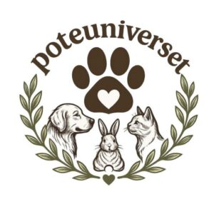 Poteuniverset