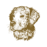 Hundesalon Muldental