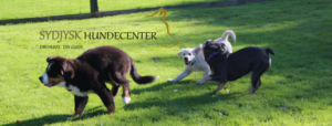 Sydjysk Hundecenter