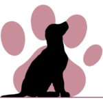 Tierschutzverein Hunde in Not Rhein-Main e.V.