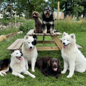 Hundehaven Ravnebjerg