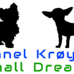 Kennel Krøyers Small Dreams