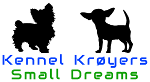 Kennel Krøyers Small Dreams