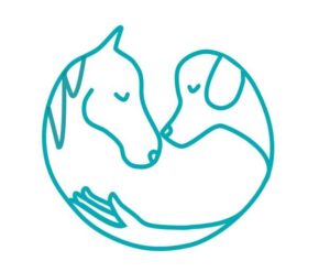 AniMove Tiertherapie Laura Walz Hunde - und Pferdephysiotherapie