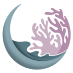 saarreef | tidal • waves • corals