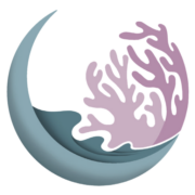 saarreef | tidal • waves • corals