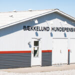Bækkelund Hundepension