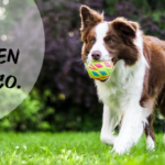 ZOO & Co. Knutzen