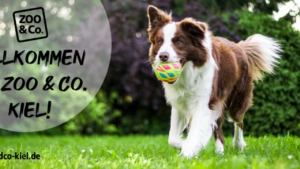 ZOO & Co. Knutzen