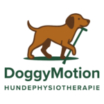 DoggyMotion Hundephysiotherapie