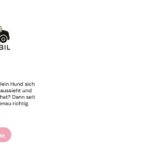 Fellmobil by Eva – Hundefriseur Oberursel und Umgebung