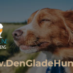 Den Glade Hund – Barf Horsens
