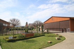 Golden Lope Ranch