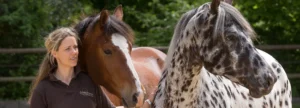 HorseCompetence