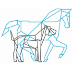 hands on animals