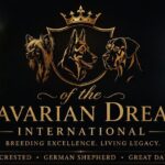 Kennel of the Bavarian Dream international