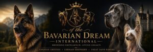 Kennel of the Bavarian Dream international