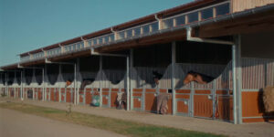 Eichhof Akademie