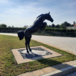Pferdesportzentrum Delitzsch – Tina Heine