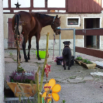 Pferdeservice Strehle