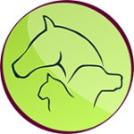 Animal Team – Tierpsychologie