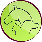 Animal Team - Tierpsychologie