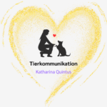 Tierkommunikation Katharina Quintus
