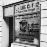 Hundefriseur L.E. Dog Cut 62
