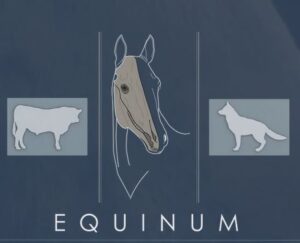 Tierphysiotherapie & Tierheilpraktik Equinum