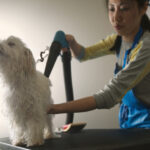 Groomery Hundesalon