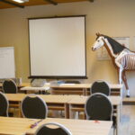 Fachzentrum für Pferdeosteopathie