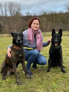 Hundephysiotherapie Tierisch im Takt