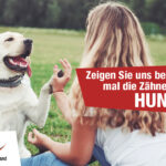 Kleintierpraxis Rheiderland ⎮Tiermedizin in der Region Bunde, Leer & Papenburg