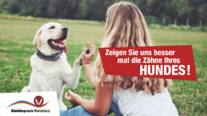 Kleintierpraxis Rheiderland ⎮Tiermedizin in der Region Bunde, Leer & Papenburg