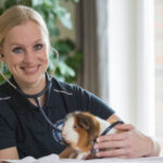 Tierärztin Dr. Hanna Lütkehus