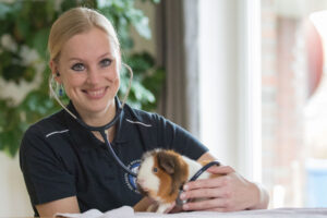 Tierärztin Dr. Hanna Lütkehus