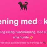 Jeanettes Hundeskole