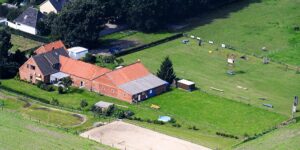 Kirsten's | Hundeschule & Heimtierbedarf