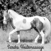 Sarahs Hestemassage