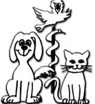 Dr. med. vet. Christine Heine