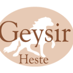 Geysir Heste