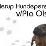 Kjellerup Hundepension