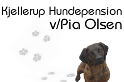 Kjellerup Hundepension