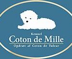 Kennel Coton de Mille