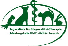 Day hospital for diagnosis and treatment of small animals