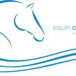 Equin-aqua-therapie