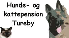 Dog and cat pension Tureby