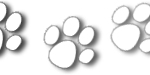 Kennel Thestrup