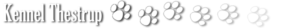 Kennel Thestrup
